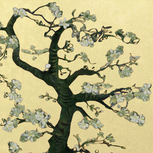 沈樵七旬老农电影免费观看高清
