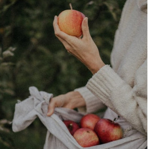 沈樵七旬老农电影免费观看高清
