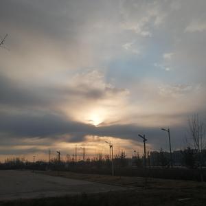 沈樵七旬老农电影免费观看高清
